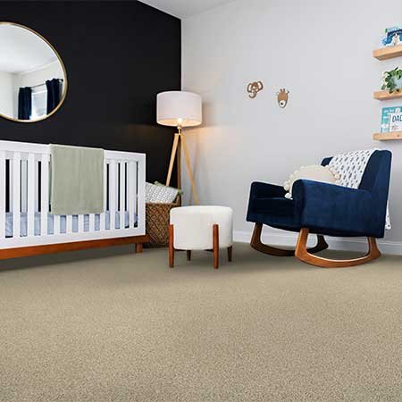 Shaw Carpet - DeWitt, MI